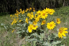 DSCN4072