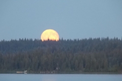 DSCN4126