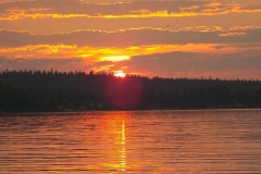 DSCN4259
