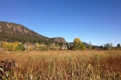 IMG_1420